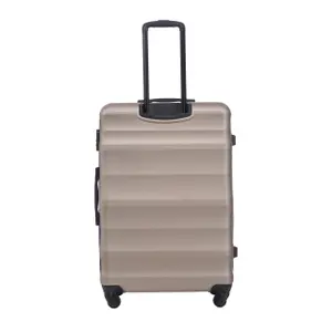 Suitcase Wings Vulture 28 image-1