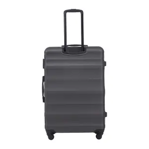 Suitcase Wings Vulture 28 image-3
