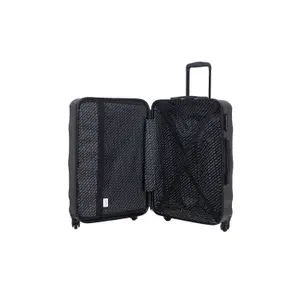 Suitcase Wings Vulture 28 image-4