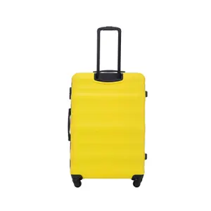 Suitcase Wings Vulture 28 image-2