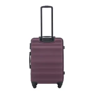 Suitcase Wings Vulture 24 image-2