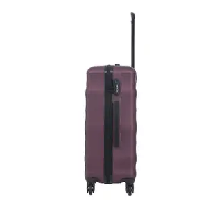 Suitcase Wings Vulture 24 image-5