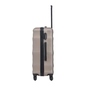 Suitcase Wings Vulture 24 image-6