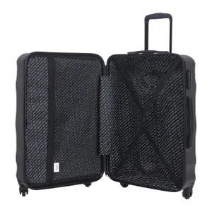 Suitcase Wings Vulture 24 image-5
