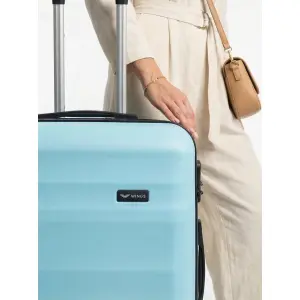 Suitcase Wings Vulture 24 image-2