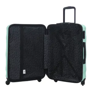 Suitcase Wings Vulture 24 image-1