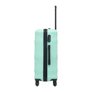 Suitcase Wings Vulture 24 image-2