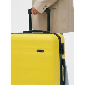 Suitcase Wings Vulture 24 image-2