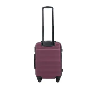Suitcase Wings Vulture 20 image-1