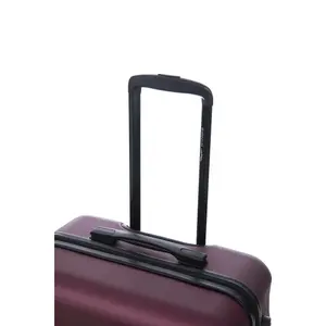 Suitcase Wings Vulture 20 image-3