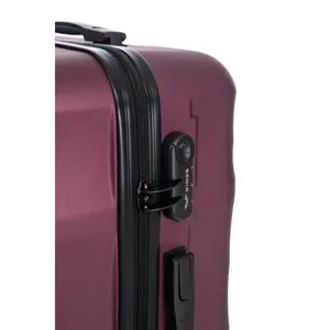 Suitcase Wings Vulture 20 image-4