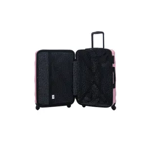 Suitcase Wings Vulture 20 image-2