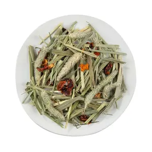 654859-hoboll-for-vegetabiliska-gnagare-witte-molen-puur-timothy-mangfargad-500-g