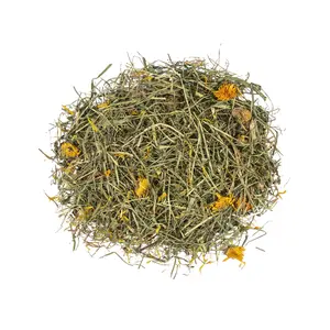 655525-hoboll-for-gnagare-maskrosblommor-witte-molen-country-gron-20x20x27-cm