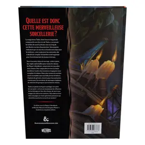 Tasha's cauldron of wonders board games Wizards of the Coast Dungeons et Dragons RPG image-5