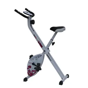 Vélo d'appartement Weslo Spazio Bike image-0