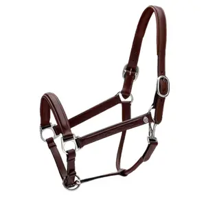 Cabestro de cuero para caballos Dy'on Fancy Working Collection image-1