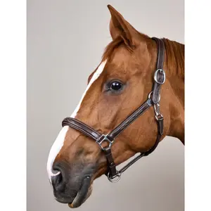 Cabestro de cuero para caballos Dy'on Fancy Working Collection image-2