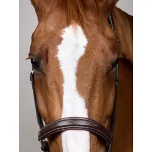 Cabestro de cuero para caballos Dy'on Fancy Working Collection image-3