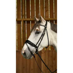 Wide patent combined noseband riding bridle Dy'on image-2