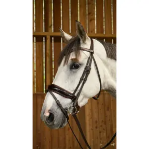 Wide patent combined noseband riding bridle Dy'on image-3