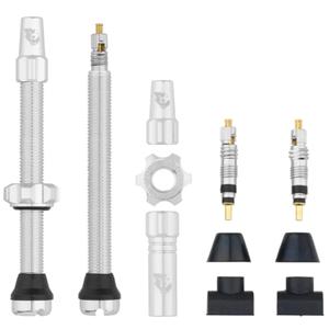 w-tlv-kit60-rsil-tubeless-ventielstaafset-wolf-tooth-zilver