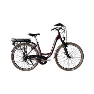 Vélo électrique de ville Wolfbike Radaway R28