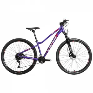 E-Bike für Damen Wolfbike Valkyria 29