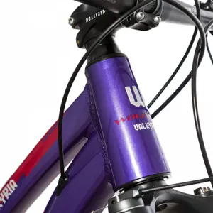 E-Bike für Damen Wolfbike Valkyria 29 image-1