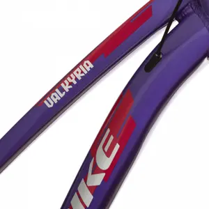 E-Bike für Damen Wolfbike Valkyria 29 image-3