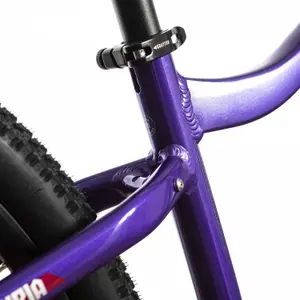 E-Bike für Damen Wolfbike Valkyria 29 image-4