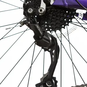 E-Bike für Damen Wolfbike Valkyria 29 image-5