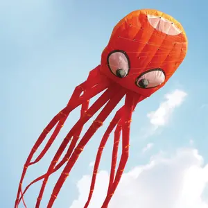 Drachen Wolkenstürmer Octopus