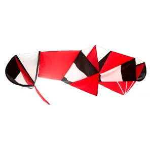 Kite Wolkenstürmer Parasled