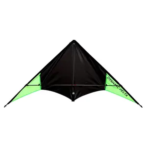 Ready to Fly Kite Wolkenstürmer Dynamic Delta