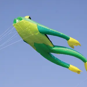 Kite Wolkenstürmer Fritz The Frog Grand image-0