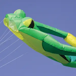 Kite Wolkenstürmer Fritz The Frog Grand image-2