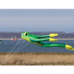 Kite Wolkenstürmer Fritz The Frog Grand image-1