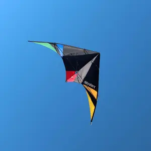 Kite Wolkenstürmer Skydart image-2