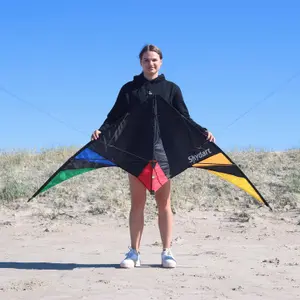 Kite Wolkenstürmer Skydart image-3