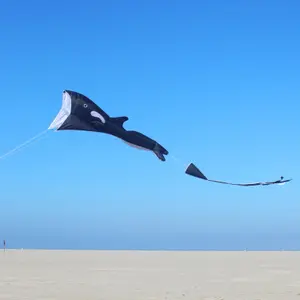 Cerf-volant Wolkenstürmer Willi image-2