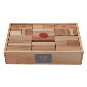 Natural Building Blocks on Tray Wooden Story (x63)