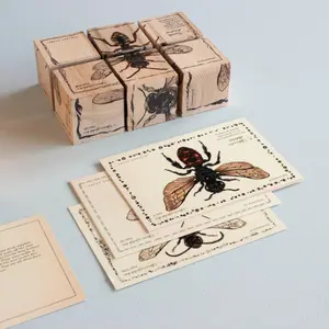 Bee Species Puzzle Wooden Story image-2