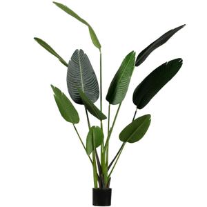 373819-g-plante-d-interieur-woood-strelitzia-green-164x96x63-cm