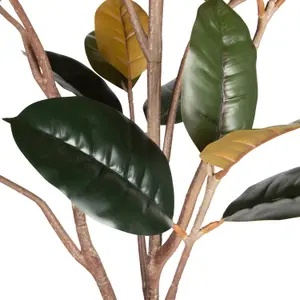 Artificial houseplant Woood Rubber image-3
