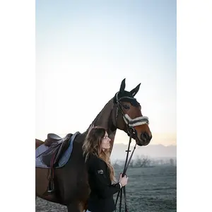 Bonnet pour cheval Wow Riley image-2