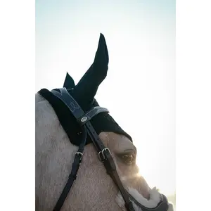 Bonnet pour cheval Wow Riley image-3