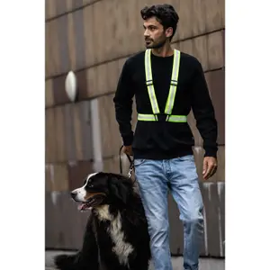 Imbracatura fluorescente regolabile Wowow image-1