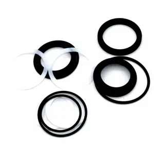 Ο-ring WSS IsoStrut Air Can Seal Kit image-0