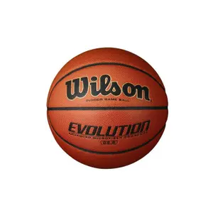 Balloon Wilson Evolution 285